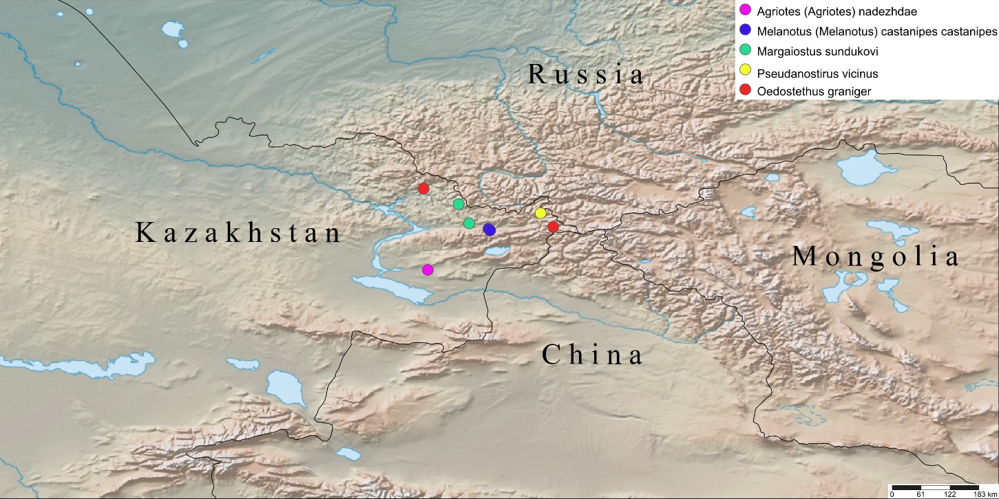 Онлайн порно оқиғаларды қараңыз